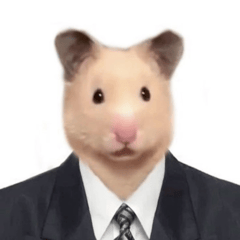 hamsu_ter